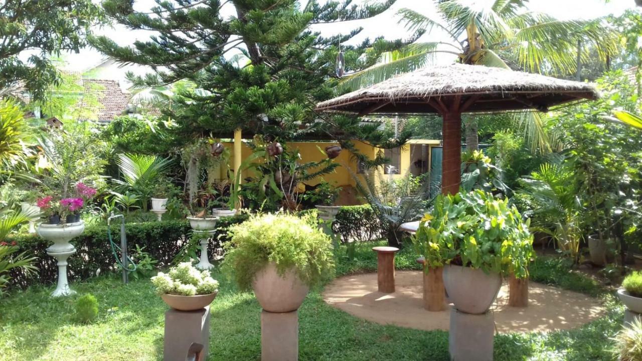 Embiente Guest House Negombo Dış mekan fotoğraf